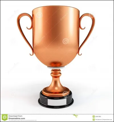 Quelle est la troisième ville la plus peuplée en France ?