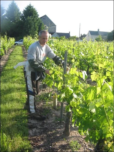 Retrouvez le genre d'"Accolage".