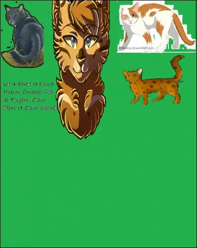 Qui est la m&egrave;re de Museau Cendr&eacute;, Coeur Blanc, Coeur d'&Eacute;pines et Poil de Foug&egrave;re ?