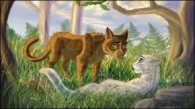 Combien Fleur de Bruy&egrave;re a-t-elle eu de port&eacute;es ?