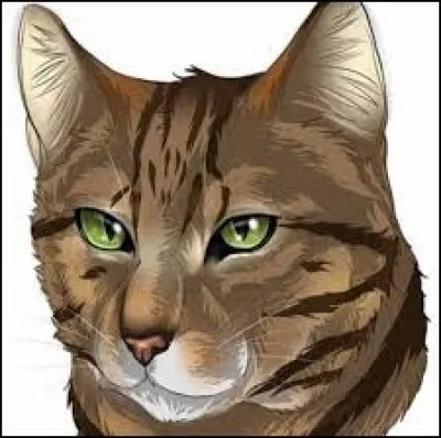 Quel &eacute;tait le nom d'Etoile Balafr&eacute;e avant d'&ecirc;tre d&eacute;figur&eacute; ?