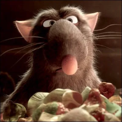 Comment s'appelle ce rat, père de Remy dans " Ratatouille" ?
