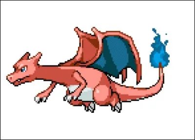 Au menu : hot-dog, poitrine de poulet et salade végétarienne.