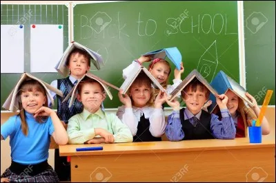 Quel est le statut d'un professeur des écoles actif de l'enseignement public. ?