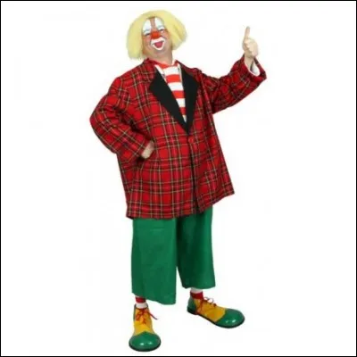 Quel accessoire porte souvent un clown sur sa veste ?