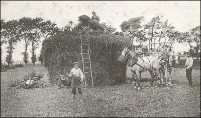 Comment appelait-on l'empilement des bottes d'une récolte ?