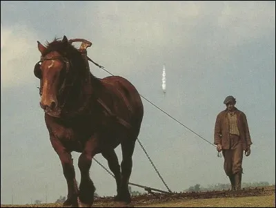 L'instrument que tire ce cheval porte un nom que l'on trouve également dans un château. Lequel ?