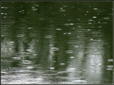 Quel saint, fêté en juin, est le patron des agriculteurs ?