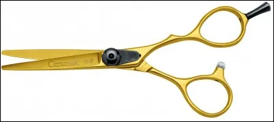 Cet objet est très important pour le métier !