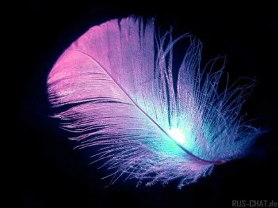 Qu'aimerais-tu avoir sur toi ?