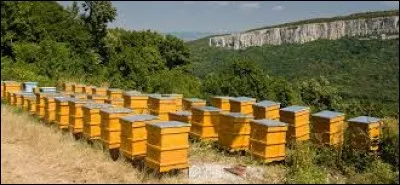 Un apiculteur doit avoir un certain diplôme pour exercer.