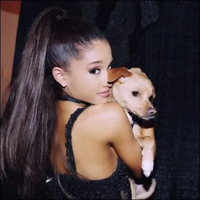 Comment s'appelle le chien d'Ariana Grande ?