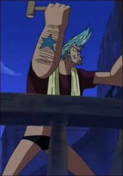 Quel est le vrai m&eacute;tier de Franky dans "One Piece" ?