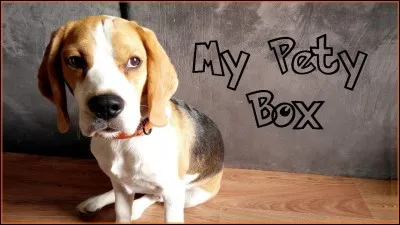 Quel était le thème de sa première vidéo ?