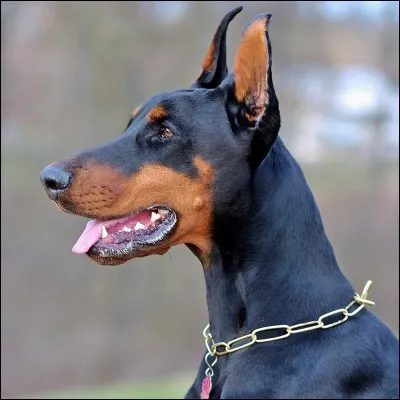 Quelle est cette couleur ?