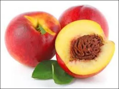 La nectarine est un croisement entre la pêche et l'abricot.