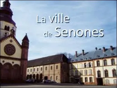 Le nom de la ville de Senones, comme celui de Laval ou de Noyon, se lit dans les deux sens.On appelle cela un ...