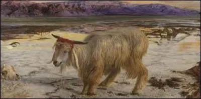 Quel mot met-on parfois après bouc ?