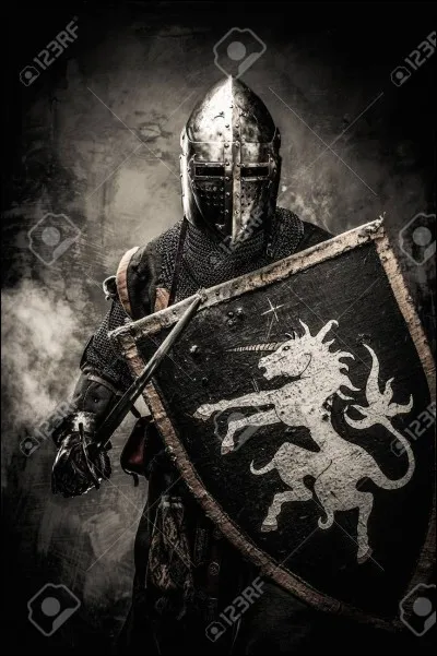 Quel chevalier ne fait pas partie de la cour ?