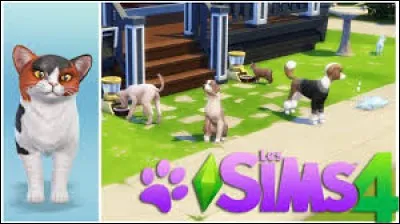 Quels sont ses animaux de compagnie ?