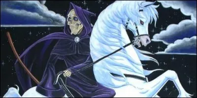 Dans "Les annales du Disque-monde", qui chevauche Binky ?