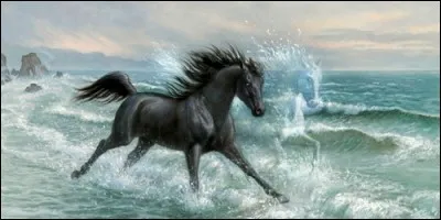 Qui est l'auteur de la série de romans "L'Etalon noir" ?