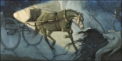 Qui est l'auteur du roman "Black Beauty" ?