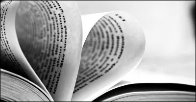 Comment traduisez-vous ce mot anglais : "novel"