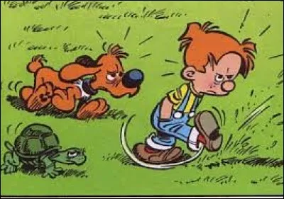 Quel animal Caroline, la meilleure amie de Bill, est-elle ?