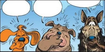 Comment s'appelle le chien de Frank ?