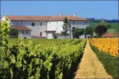 Nous sommes à présent en Occitanie, sur un chemin entre les vignes et les tournesols, qui nous mène à la grange cistercienne de Bernac. Village de l'arrondissement d'Albi, il se situe dans le département ...