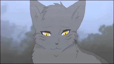 Qui est le meilleur ami d'Étoile de Feu ?