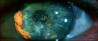 Quelle est leur durée de vie programmée ?