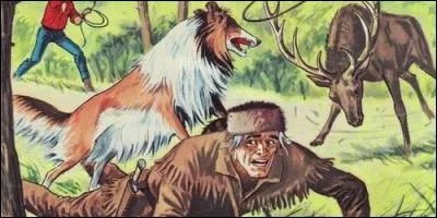 Quelle race de chien est Bessy ?