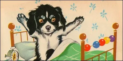 A qui appartient Bobi ?