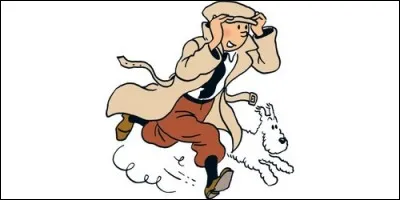 Qui est le fidèle compagnon de Tintin ?
