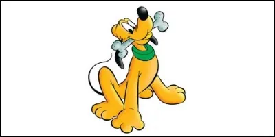 Comment se nomme le chien de Mickey ?