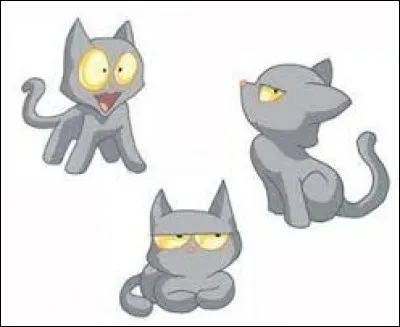 Comment s'appelle-t-il ?