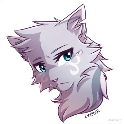 Qui sont ses apprentis ?