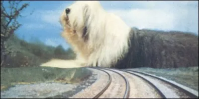 Que se passe-t-il pour Digby dans le film éponyme ?