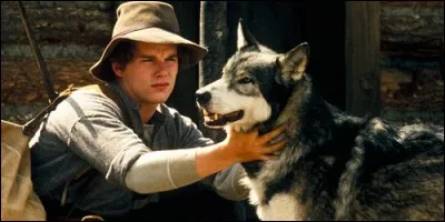 Quel acteur joue dans le film "Croc-Blanc" de 1991 ?