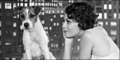Dans "The Artist", comment se nomme ce chien ?