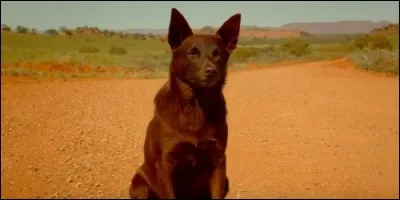 Quel est le titre de ce film ?