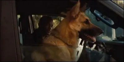 Dans "Je suis une légende", Sam est au côté de :