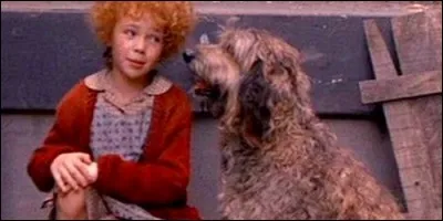 A qui appartient Sandy ?