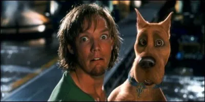 Scooby Doo travaille pour :