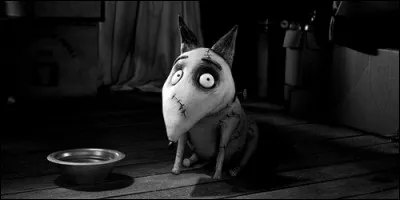 Dans quel film voit-on Sparky ?