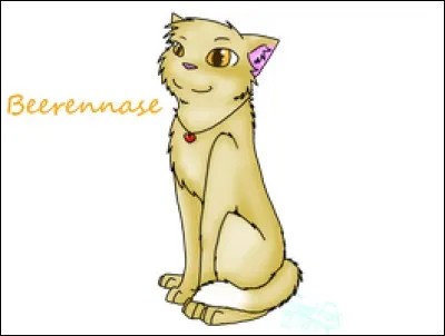 Qui sont ses surs (en comptant sa demi-sur) ?