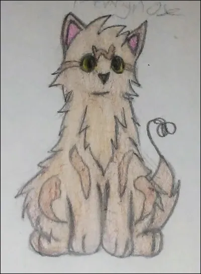 Combien de compagnes a-t-il eues ?