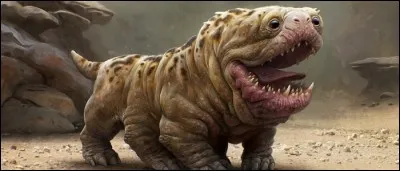 Quel héros de film d'aventures Woola accompagne-t-il ?